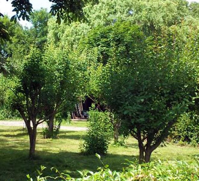 900x1480px-Tuin-met-bomen